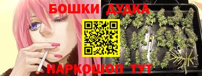 гидропоника Аша