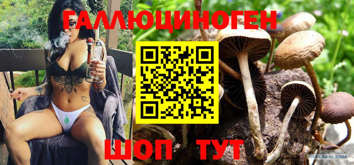 Галлюциногенные грибы мухоморы Коммунар